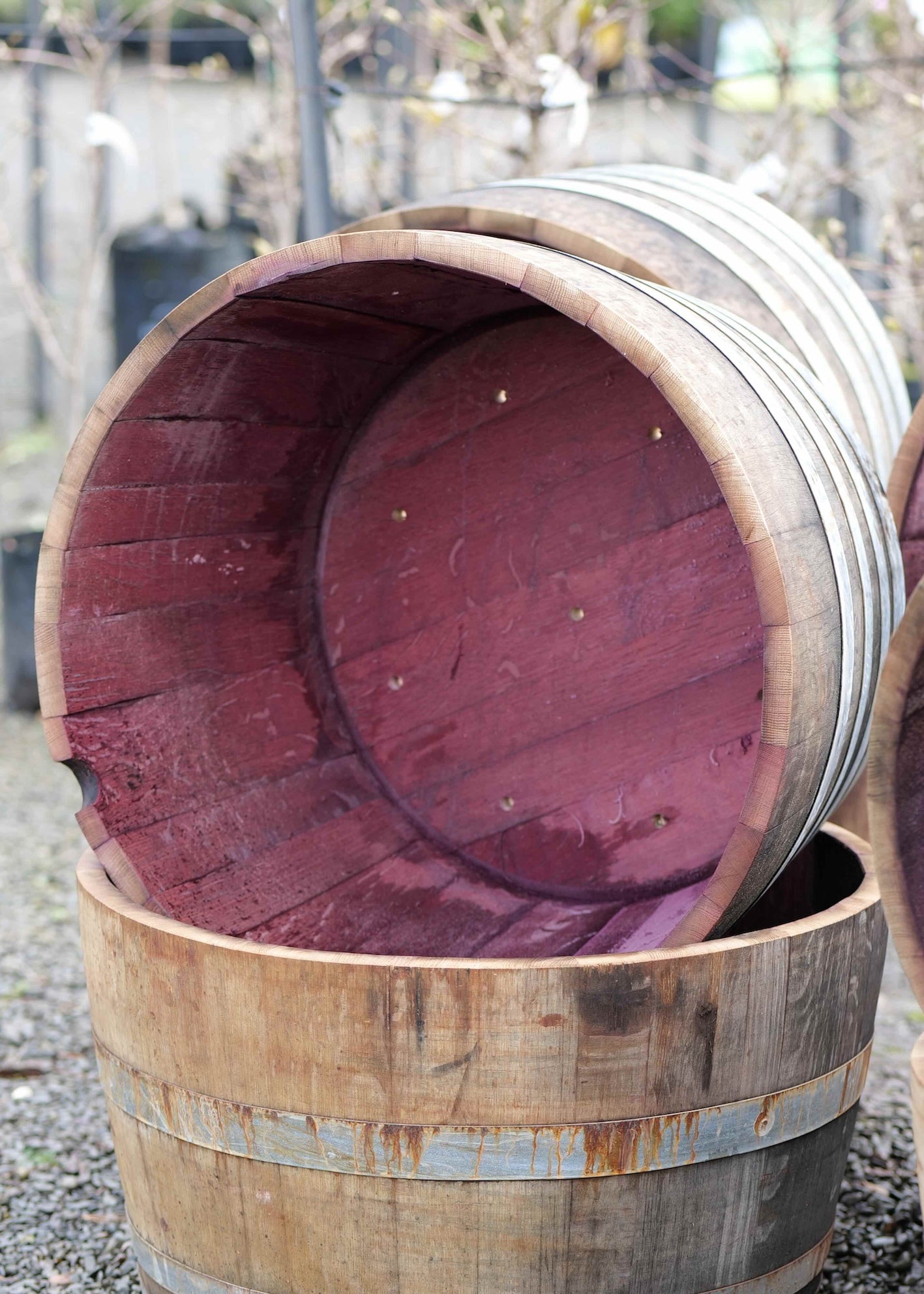 Wine barrel cut in half with holes drilled to put a plant