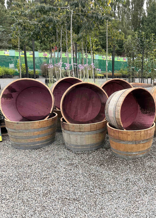 Oak Wine Barrels cut into planters with  arranged outdoors on a gravel surface.